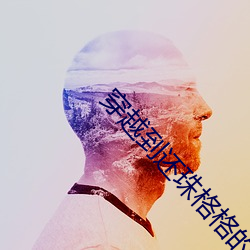 穿越到还珠格格的小说男主