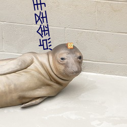 点金圣手