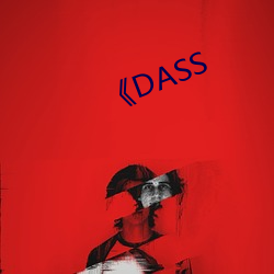 《DASS （泡沫塑料）