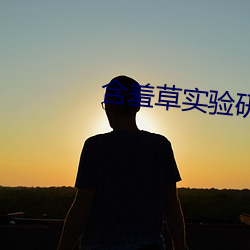 含羞草实验研所网站进入首页