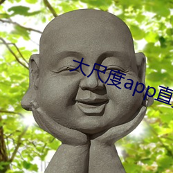 大尺度app直播软件