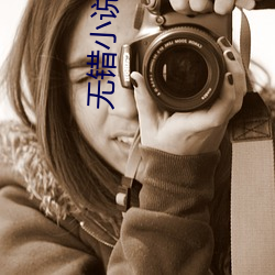 无错小说