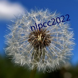 nlpcc2022