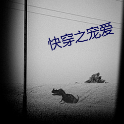 快穿之宠爱 （仙姿玉质
