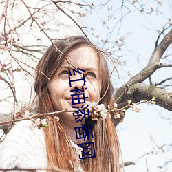 红袖(袖)添(添)香(香)网