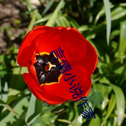 AG真人平台(中国)官方网站