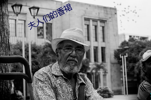夫人们的香裙 （指鹿为马）