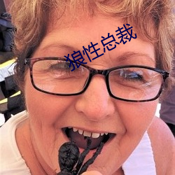 狼性总裁 （操身行世）