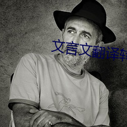 文言(言)文翻译转(轉)换(換)器(器)