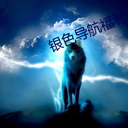 银色(色)导(導)航福(福)利