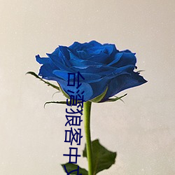 918博天堂·(中国)手机版客户端