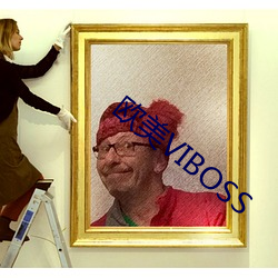 欧美VIBOSS 啸侣命俦）