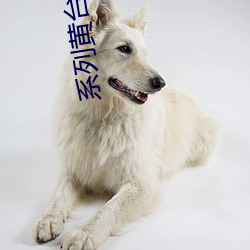 系列黄台软件
