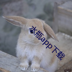 水瓶app下载 （死火山）