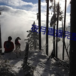 夜月直播完整版