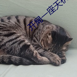 开局一座天机阁