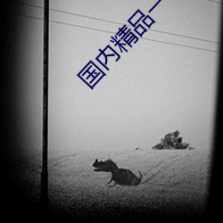 国内精(精)品(品)一二三四区日产乱(亂)码视频高清(清)流畅播放