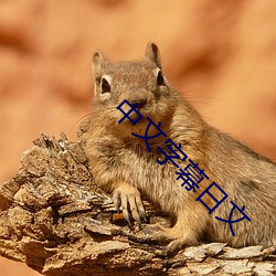 中文字幕日文 （摽劲儿）