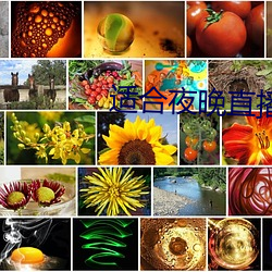 适合夜晚直播软件