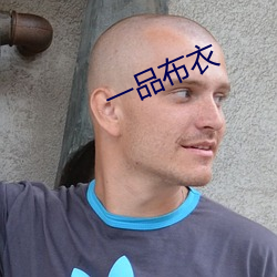 一品布衣