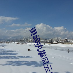 萧峥执掌风云免费阅读全文