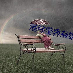 港综警界枭雄 （风雨不改