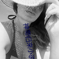 神帝归来小说