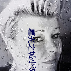 暮光之城小說