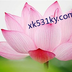 xk531ky.com