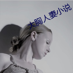 大胸人妻小說