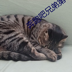 奔跑吧兄弟第十季免費觀看