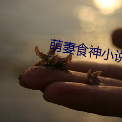 萌(萌)妻食(食)神小说