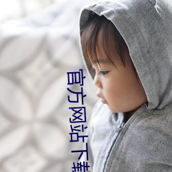 官方网站下(xià)载安装