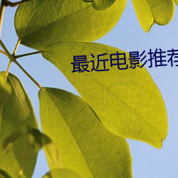 最近电影推荐