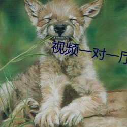 九游会登录j9入口 - 中国官方网站 | 真人游戏第一品牌