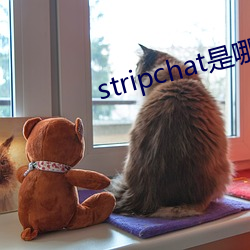 stripchat是哪个国家的