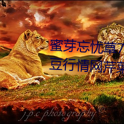 蜜(蜜)芽(芽)忘忧草768.mon.二区(區)老(老)狼大豆(豆)行(行)情网芹菜行情桃