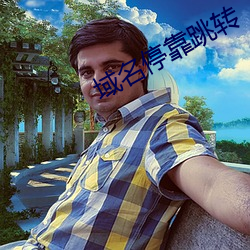 域名(名)停(停)靠跳转