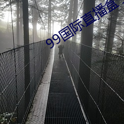99国际直播盒子破解版