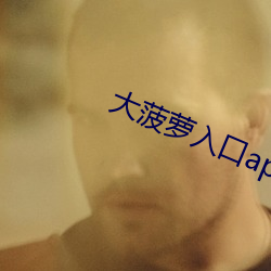 大(大)菠萝(蘿)入口app下载