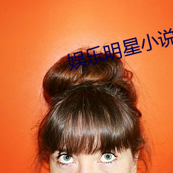 娱乐明星小说(shuō)