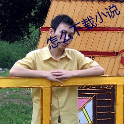怎么下载小说 （诸有此类）
