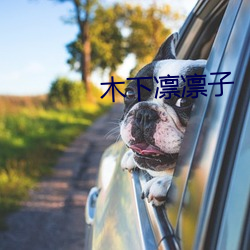 木下凛凛子