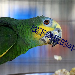 线下陪玩(玩)的app