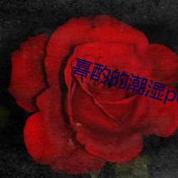 喜酌的潮湿po