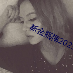 新金瓶梅2023 （西番莲）