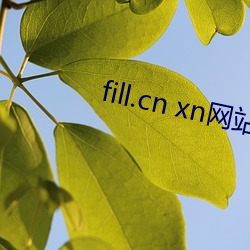 fill.cn xn网站 （从艺）