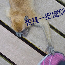 我是一把魔剑(jiàn)