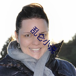 乱仑小说