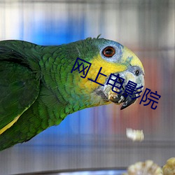 网(wǎng)上电影院